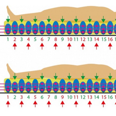 Противопролежневый матрас трубчатый, противо пролежни матрас TKS-2012B, Gi-emme S.R.L, (Италия) противопролежневые системы на сайте orto-med.com.ua
