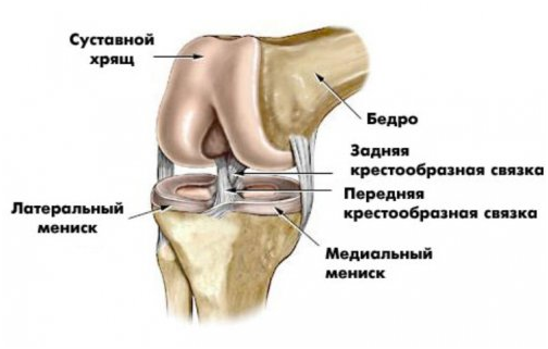 Методы лечения связок коленного сустава - Медкор